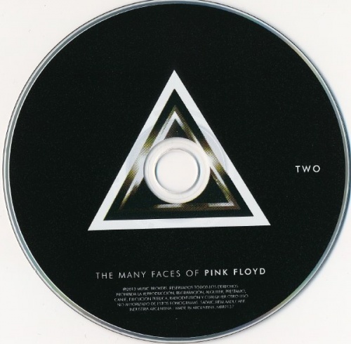 VA - The Many Faces of Pink Folyd: A Journey Through the Inner World of Pink Floyd  (2013)(Lossless+MP3)