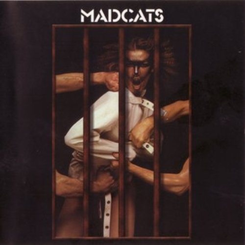 Madcats - Discography [1978-1981] [Lossless+MP3]