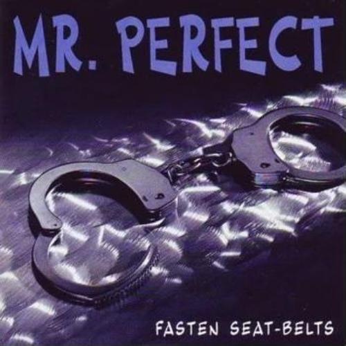 Mr. Perfect - Fasten Your Seat-Belts 1993