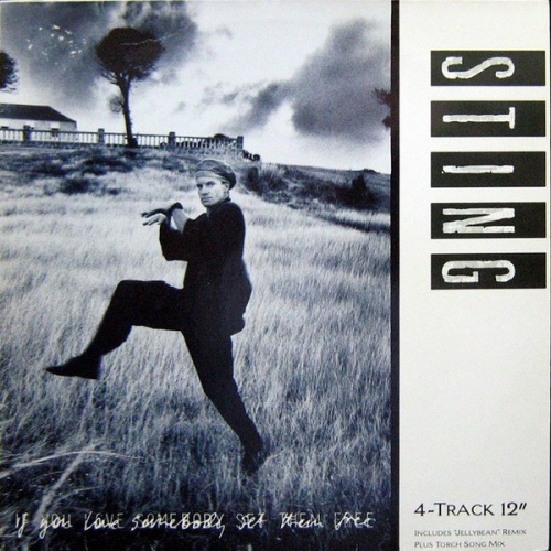 Sting - If You Love Somebody Set Them Free (Vinyl, 12'') 1985