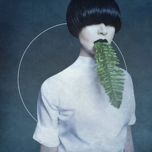 Kangding Ray - Cory Arcane (2015) [Lossless+Mp3]