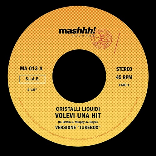 Cristalli Liquidi - Volevi Una Hit (Vinyl, 7") 2012
