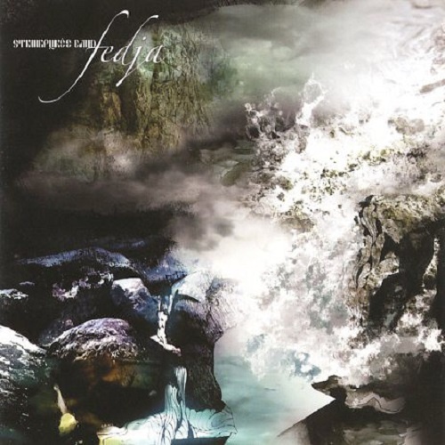 Stringpurée Band ‎- Fedja (2010)