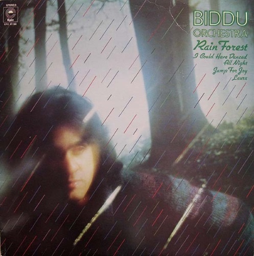 Biddu Orchestra - Rain Forest (LP) (1976)
