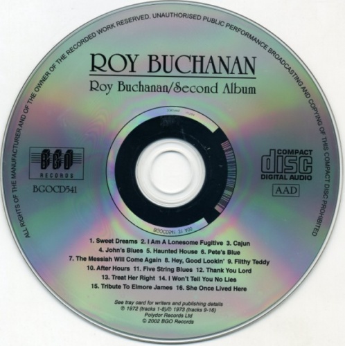 Roy Buchanan - Roy Buchanan / Second Album  (1972-73) (2002) lossless