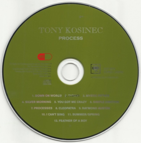 Tony Kosinec - Processes (1969) [Japan Remastered, 2016]  Lossless