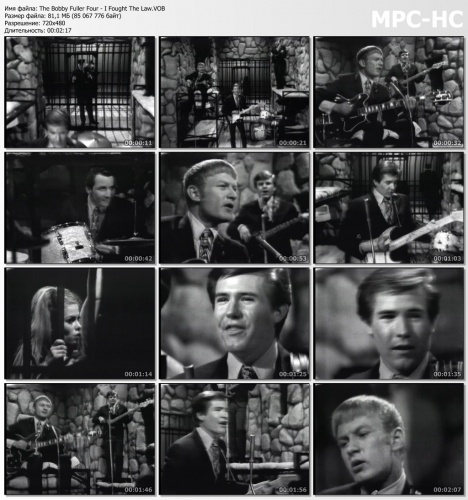 The Bobby Fuller Four - I Fought The Law (1966)