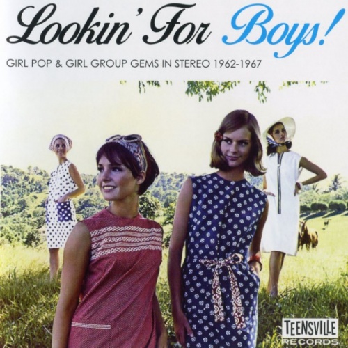 VA - Lookin' For Boys! Girl Pop & Girl Group Gems in Stereo 1962-1967 (2017)  Lossless