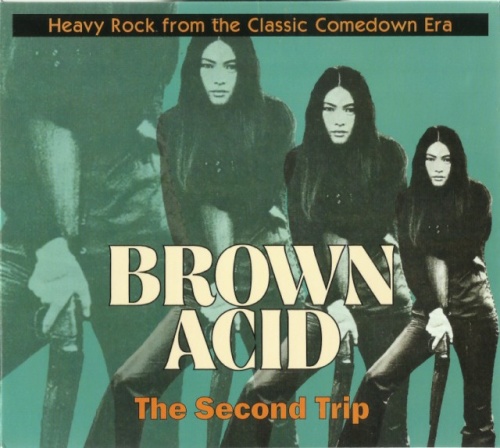 V.A. - Brown Acid / The Second Trip (1970-78) (DigiPak, 2016) Lossless