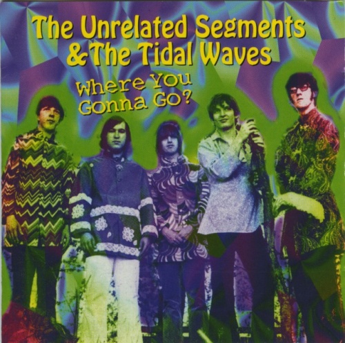 The Unrelated Segments & The Tidal Waves - Where You Gonna Go (1966-70) (1998) Lossless