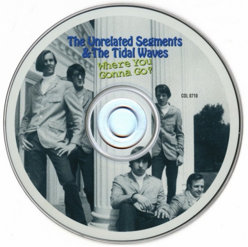 The Unrelated Segments & The Tidal Waves - Where You Gonna Go (1966-70) (1998) Lossless