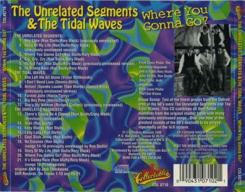 The Unrelated Segments & The Tidal Waves - Where You Gonna Go (1966-70) (1998) Lossless