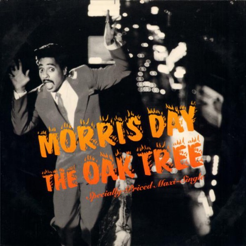 Morris Day - The Oak Tree (Vinyl, 12'') 1985