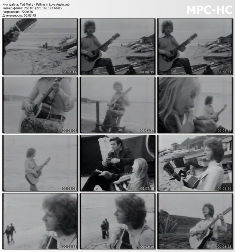 Ted Mulry - Falling in Love Again (1971)