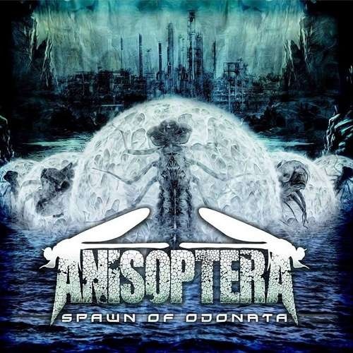 Anisoptera - Spawn Of Odonata (2018)