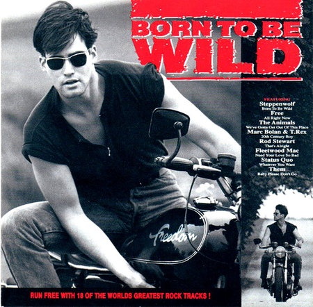 Various Artists - Born To Be Wild (1991) Lossless