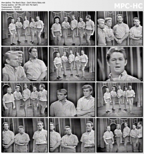 The Beach Boys - Don't Worry Baby (1964)