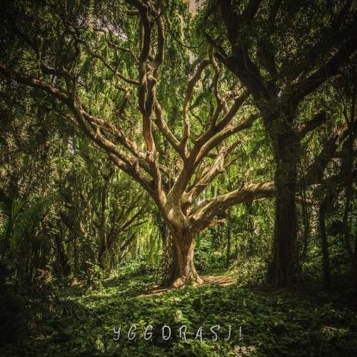 Neraines - Yggdrasil (2019)