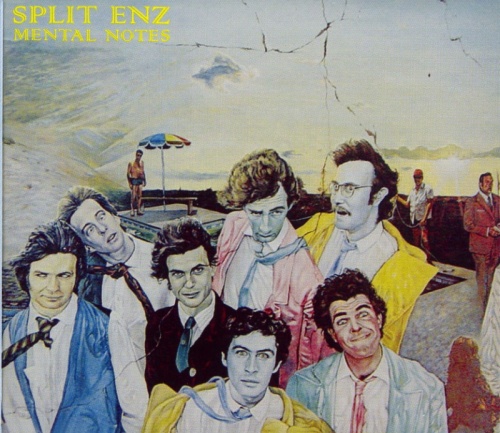 split enz flac