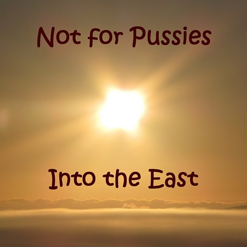 Not For Pussies - Into The East (2019) (Lossless+Mp3)