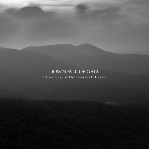 Downfall Of Gaia - Suffocating In The Swarm Of Cranes (2012) (Lossless)