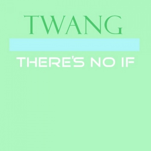 Twang - There's No If &#8206;(3 x File, MP3, Single) 2008