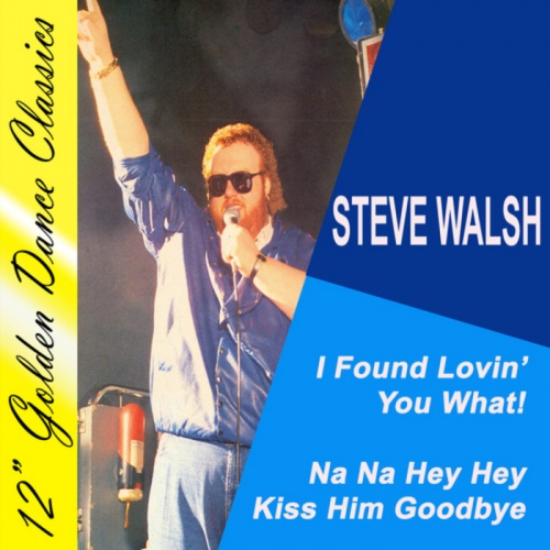 Steve Walsh - I Found Lovin' You What! &#8206;(2 x File, MP3, Single) 2012