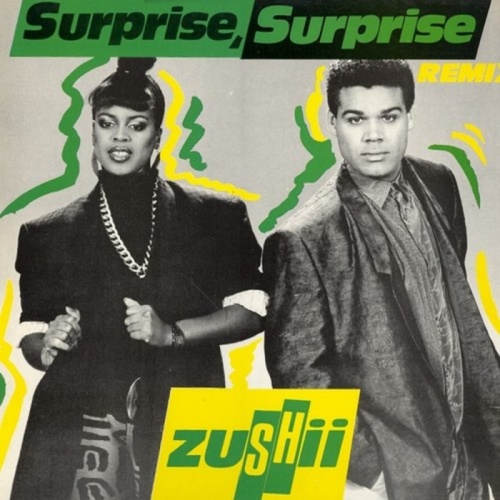 Zushii - Surprise, Surprise &#8206;(3 x File, MP3, Single) 2008