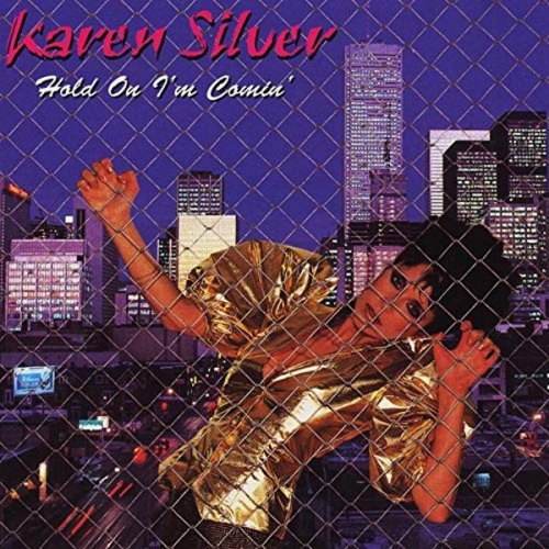 Karen Silver - Hold On I'm Comin' &#8206;(15 x File, MP3, Album) 2014