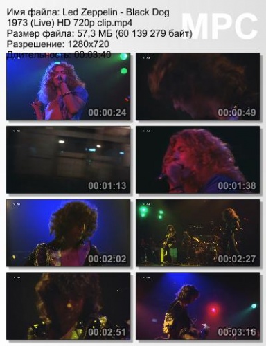 Led Zeppelin - Black Dog 1973 (Live)