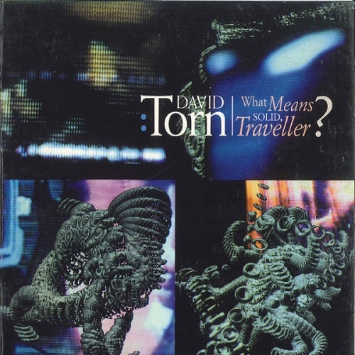 David Torn - What Means Solid, Traveller? (1996)