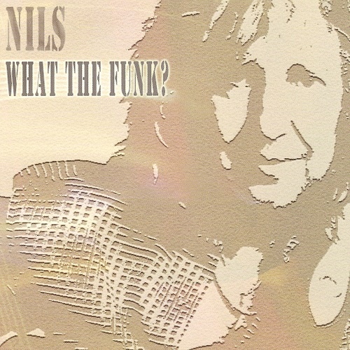 Nils - What The Funk? (2010) lossless