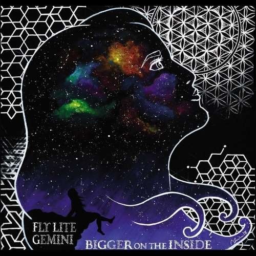 Flylitegemini - Bigger on the Inside (2019)