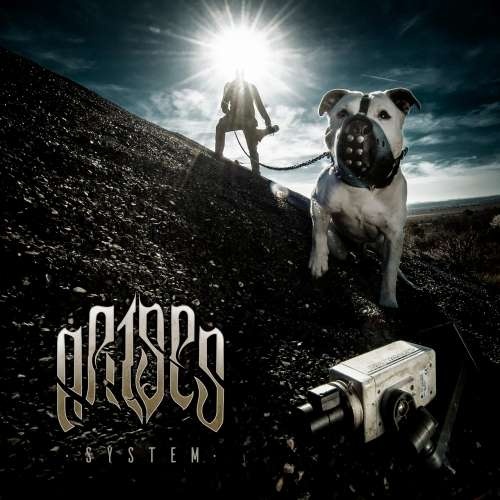 Arises - System (2019)