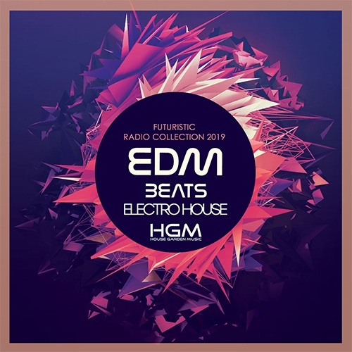 VA - EDM Beats Electro House (2019)