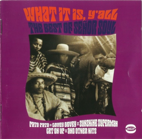 Senor Soul - What It Is Y'All: The Best Of Senor Soul (1967-70 ) (2003) lossless