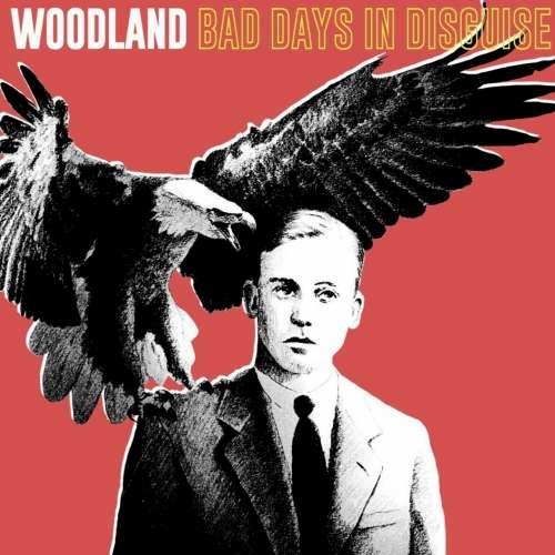 WOODLAND - Bad Days in Disguise (2019)