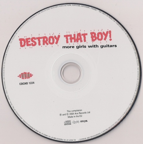 VA - Destroy That Boy! More Girls With Guitars (1965-68) (2009) Lossless